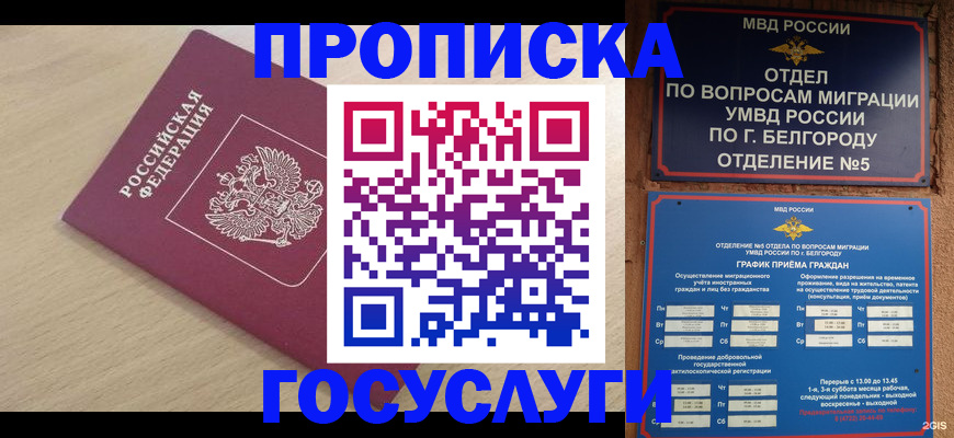 прописка законно в Железногорске